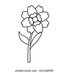 cute flower isolated icon vector illustration design