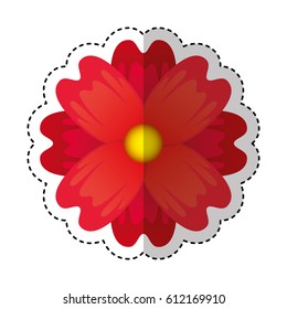 cute flower isolated icon vector illustration design