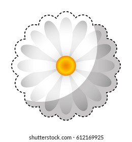 cute flower isolated icon vector illustration design