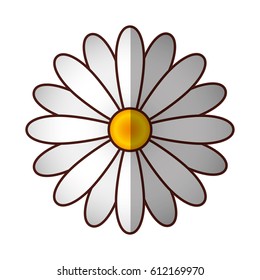 cute flower isolated icon vector illustration design