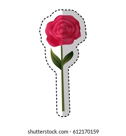 cute flower isolated icon vector illustration design