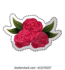 cute flower isolated icon vector illustration design