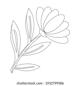 Flor cúrcuta. Objeto aislado en el fondo blanco. Elemento blanco y negro para colorear páginas. Ilustración de estilo plano.