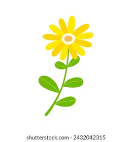 Cute flower isolated on white background.	