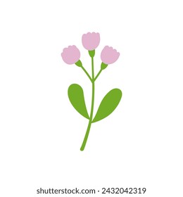 Niedliche Blume isoliert auf weißem Hintergrund.	