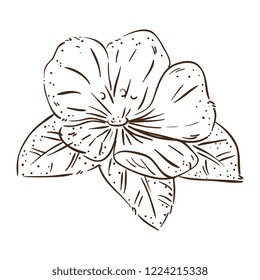 cute flower with leafs decorative