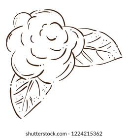 cute flower with leafs decorative