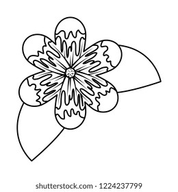 cute flower with leafs decorative