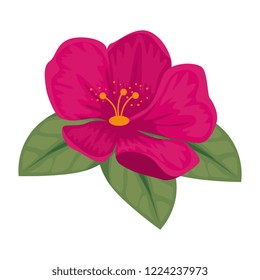 cute flower with leafs decorative