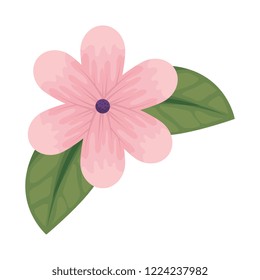 cute flower with leafs decorative