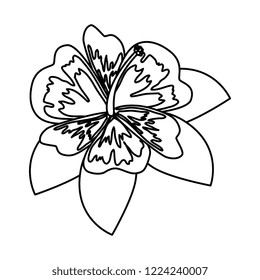 cute flower with leafs decorative