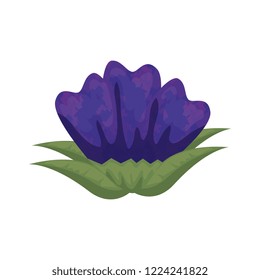 cute flower with leafs decorative