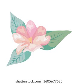 cute flower with leafs natural isolated icon vector illustration design