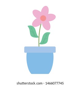 cute flower and leafs plant in ceramic pot