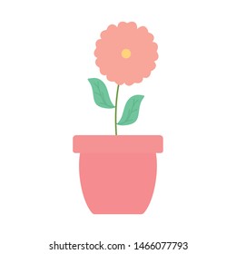 cute flower and leafs plant in ceramic pot