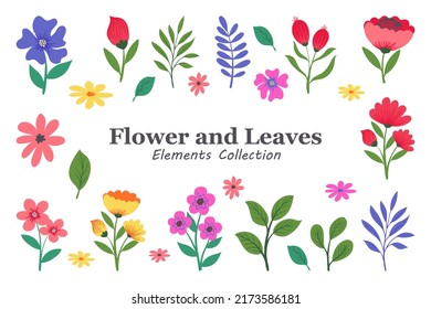 Flor y hojas colecciones de elementos individuales
