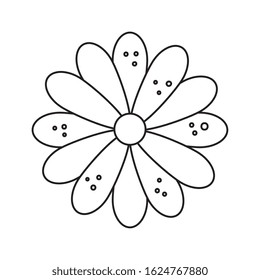 cute flower natural isolated icon vector illustration design