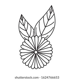 cute flower natural with leafs isolated icon vector illustration design