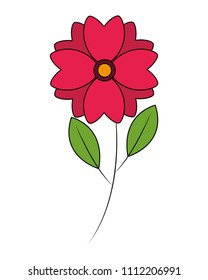 cute flower natural stem leaves image