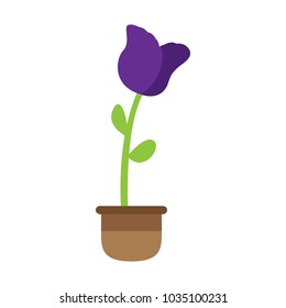 Cute flower on a pot