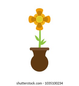 Cute flower on a pot