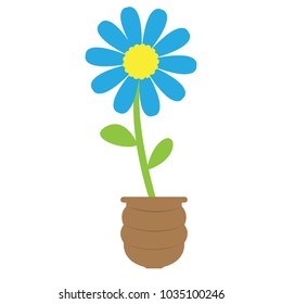 Cute flower on a pot
