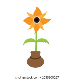 Cute flower on a pot