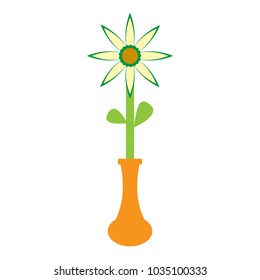 Cute flower on a pot