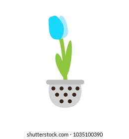 Cute flower on a pot