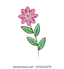 cute flower pink with branch and leafs isolated icon vector illustration design