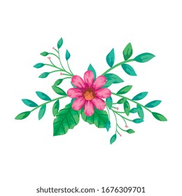 cute flower pink with branches and leafs isolated icon vector illustration design