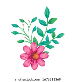 cute flower pink with branches and leafs isolated icon vector illustration design