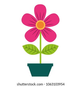 cute flower in pot