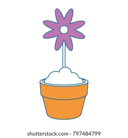 cute flower in pot