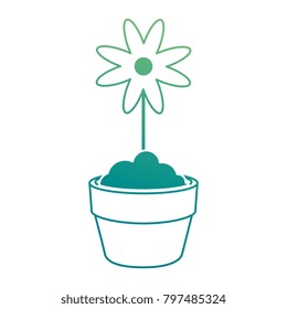 cute flower in pot