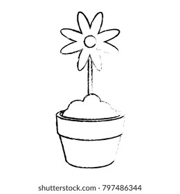 cute flower in pot