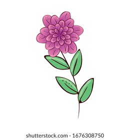 cute flower purple with branch and leafs vector illustration design