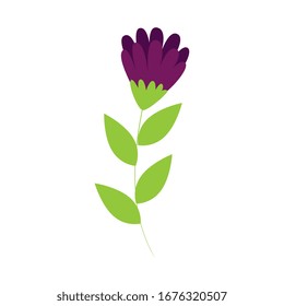 flor adorable morado con ramas y hojas aisladas icono ilustración vectorial diseño