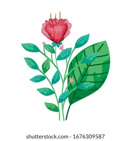 cute flower red with branches and leafs isolated icon vector illustration design