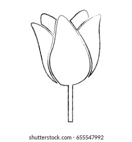 cute flower rose icon
