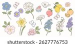 Cute flower and summer element vector set. Hand drawn of floral, pomegranate, lemon, butterfly, tea, cupcake with sketch line. Design for card, banner, cover, sticker, print, packaging.