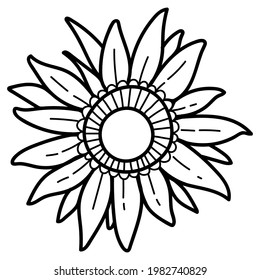 Cute flower sunflower. A sunflower with seeds. Black and white vector doodle illustration isolated on white background.