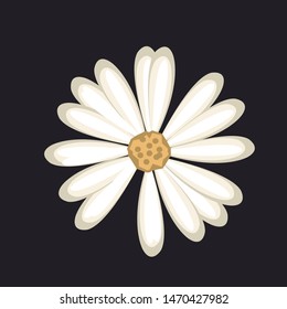 cute flower vector with dark background