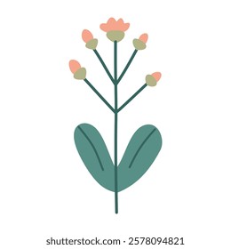 Cute flower,cartoon, isolated, vector illustration, graphic design, flat 
