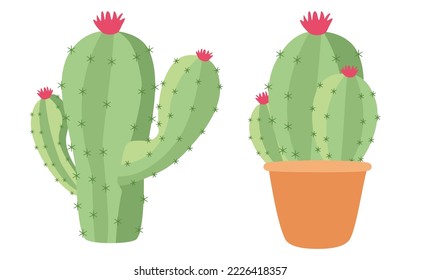 Cute flowering cactus vector illustrations