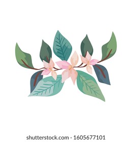 cute flowers with branches and leafs isolated icon vector illustration design