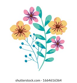 cute flowers with branches and leafs vector illustration design