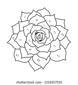 cute flowers cartoon vector and hand drawn illustration , black and white, doodle style, isolated on white background