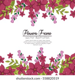 cute flowers frame background