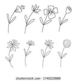 flores lindas conjunto botánico dibujado a mano 